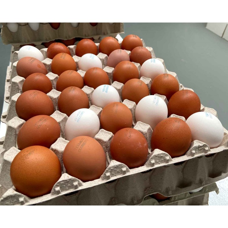 Carton de 30 huevos